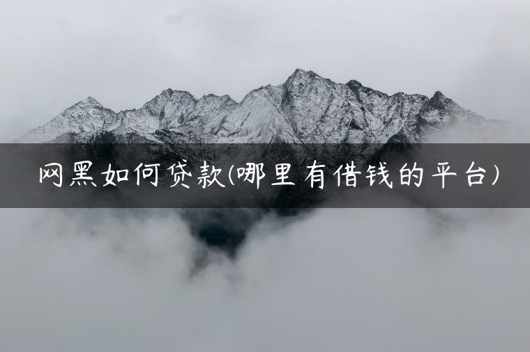 网黑如何贷款(哪里有借钱的平台)