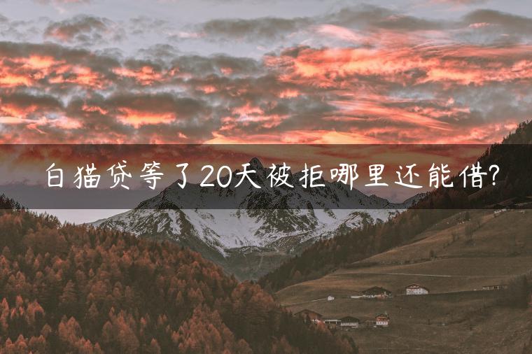 白猫贷等了20天被拒哪里还能借?