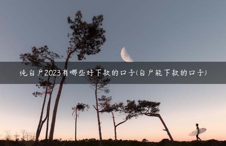 纯白户2023有哪些好下款的口子(白户能下款的口子)