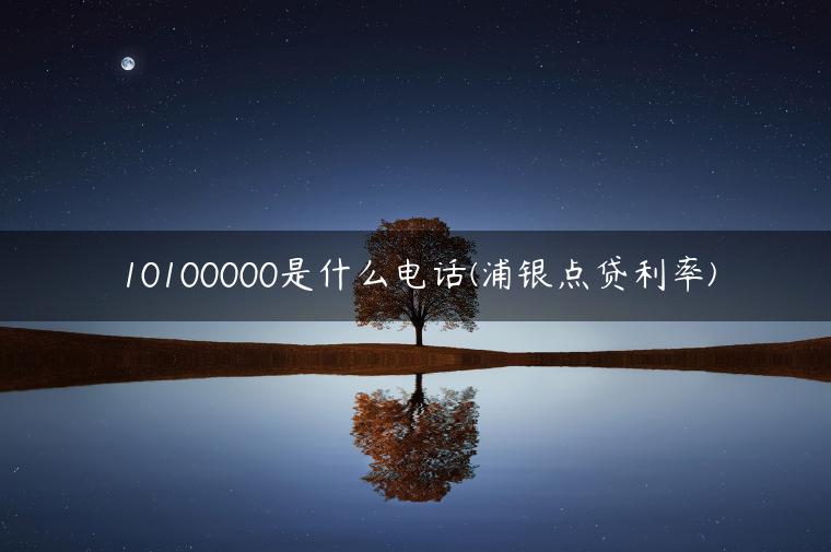 10100000是什么电话(浦银点贷利率)