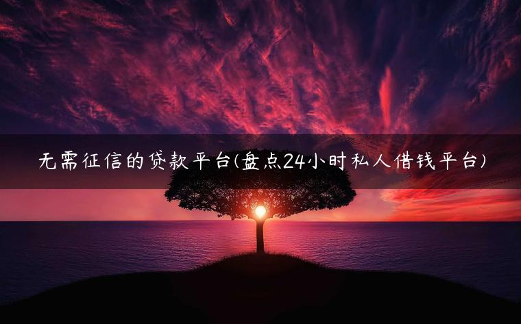 无需征信的贷款平台(盘点24小时私人借钱平台)