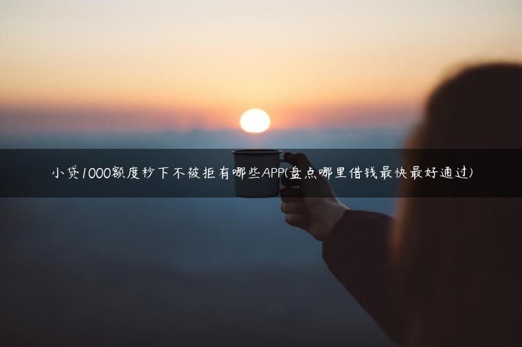 小贷1000额度秒下不被拒有哪些APP(盘点哪里借钱最快最好通过)