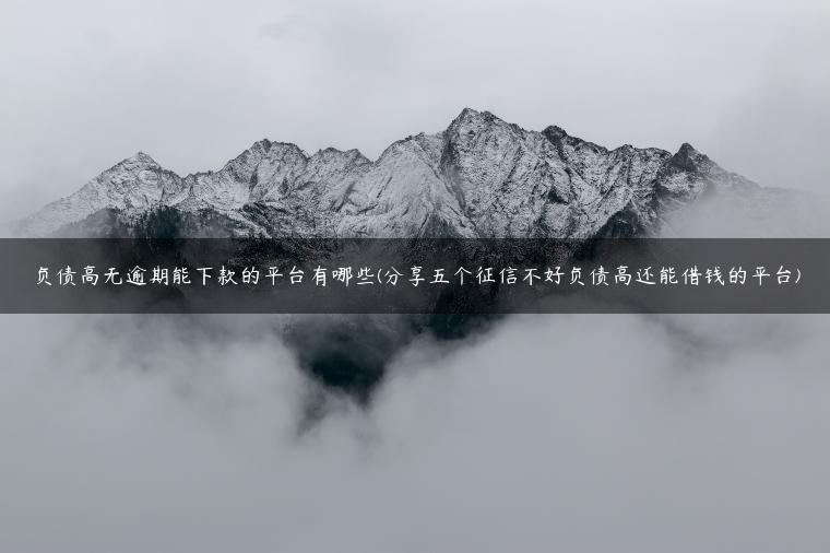 负债高无逾期能下款的平台有哪些(分享五个征信不好负债高还能借钱的平台)