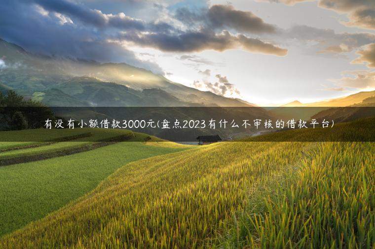 有没有小额借款3000元(盘点2023有什么不审核的借款平台)