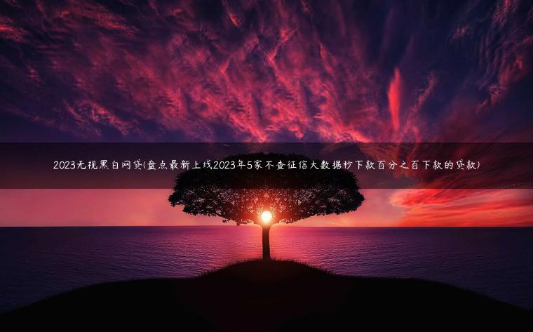 2023无视黑白网贷(盘点最新上线2023年5家不查征信大数据秒下款百分之百下款的贷款)