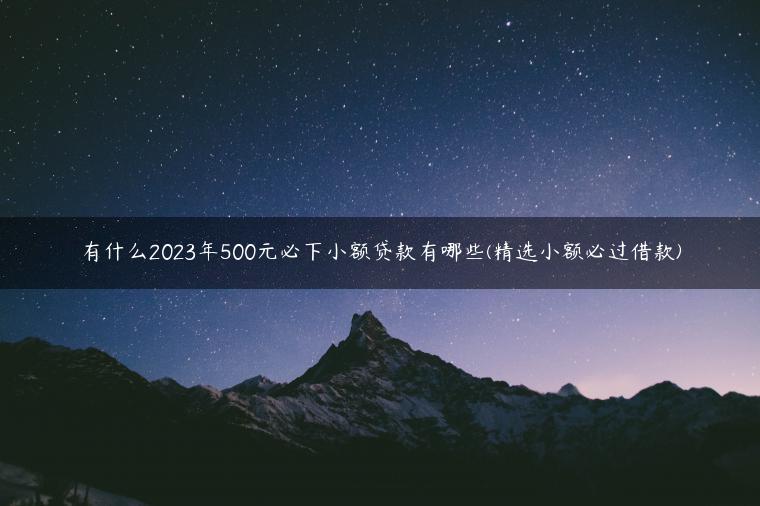 有什么2023年500元必下小额贷款有哪些(精选小额必过借款)