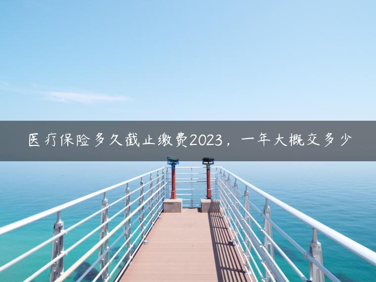 医疗保险多久截止缴费2023，一年大概交多少