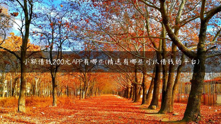 小额借钱200元APP有哪些(精选有哪些可以借钱的平台)