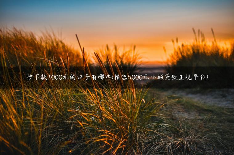 秒下款1000元的口子有哪些(精选5000元小额贷款正规平台)