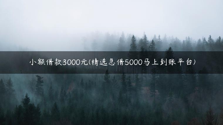 小额借款3000元(精选急借5000马上到账平台)