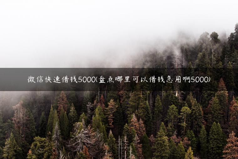 微信快速借钱5000(盘点哪里可以借钱急用啊5000)