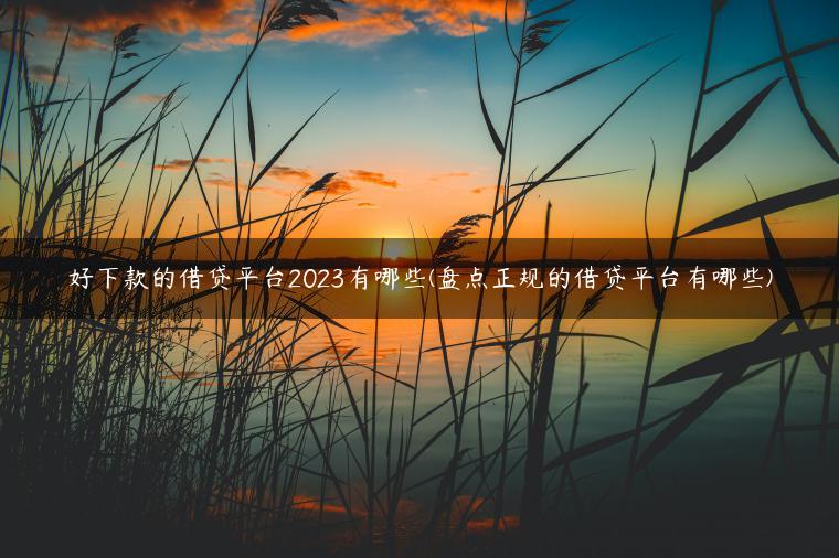 好下款的借贷平台2023有哪些(盘点正规的借贷平台有哪些)