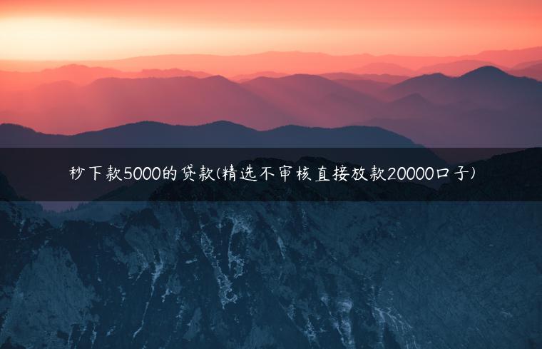 秒下款5000的贷款(精选不审核直接放款20000口子)