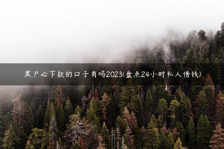 黑户必下款的口子有吗2023(盘点24小时私人借钱)