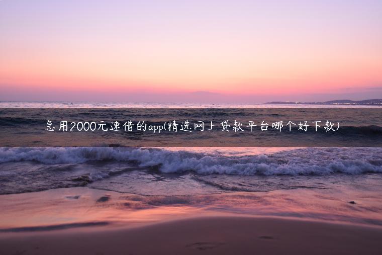 急用2000元速借的app(精选网上贷款平台哪个好下款)