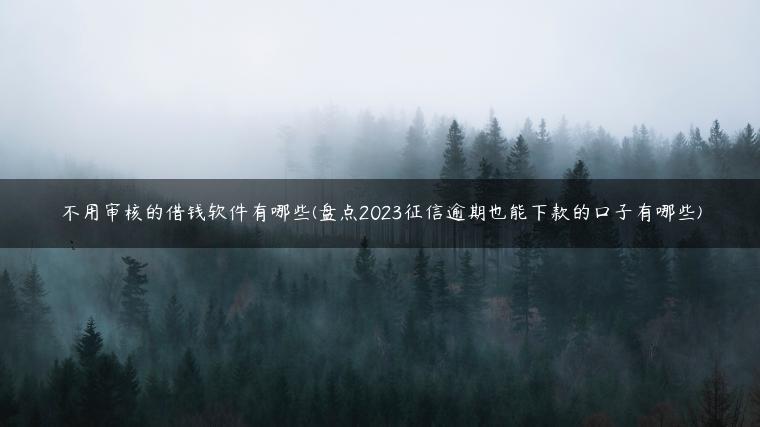 不用审核的借钱软件有哪些(盘点2023征信逾期也能下款的口子有哪些)