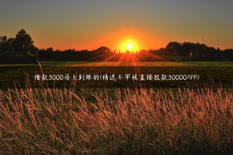 借款3000马上到账的(精选不审核直接放款30000APP)