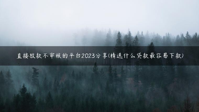 直接放款不审核的平台2023分享(精选什么贷款最容易下款)