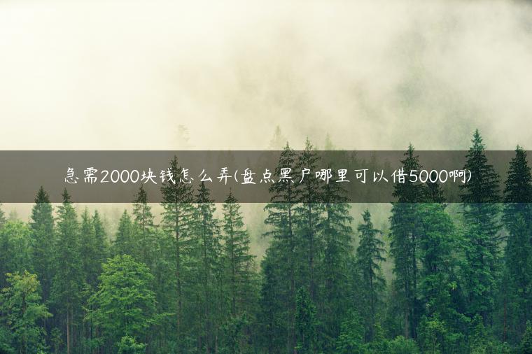 急需2000块钱怎么弄(盘点黑户哪里可以借5000啊)