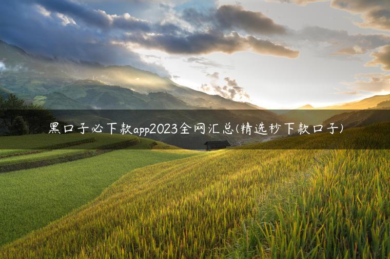 黑口子必下款app2023全网汇总(精选秒下款口子)