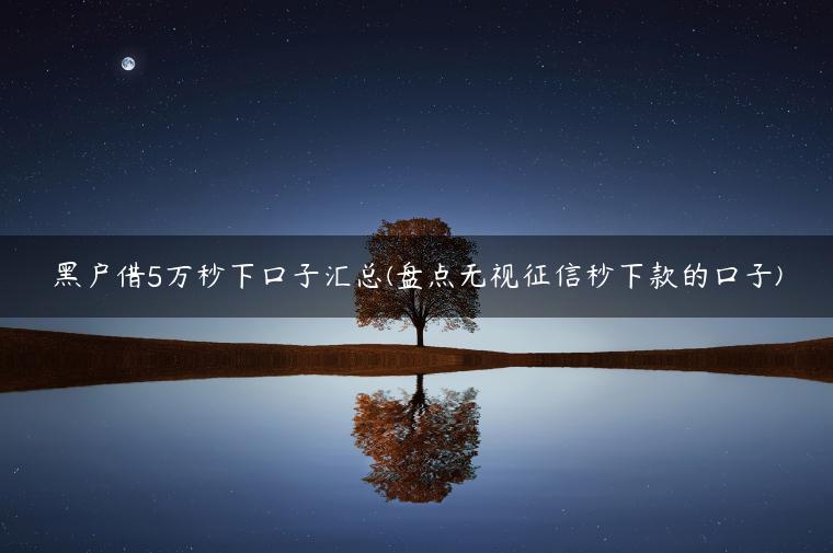 黑户借5万秒下口子汇总(盘点无视征信秒下款的口子)