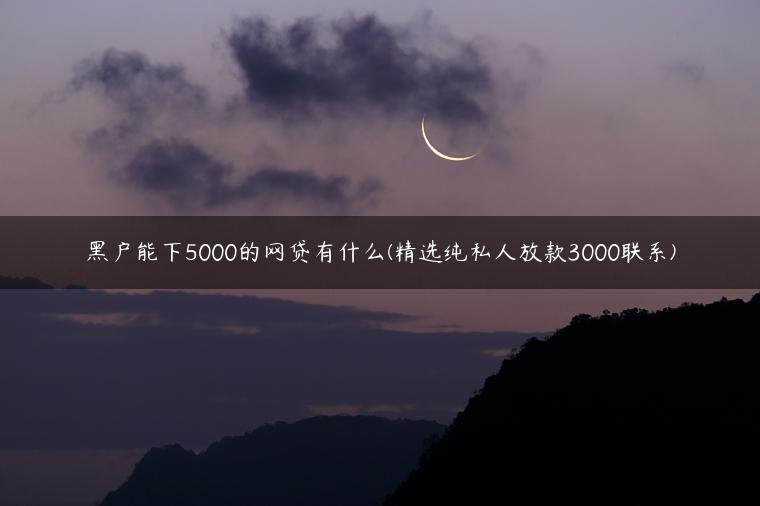 黑户能下5000的网贷有什么(精选纯私人放款3000联系)