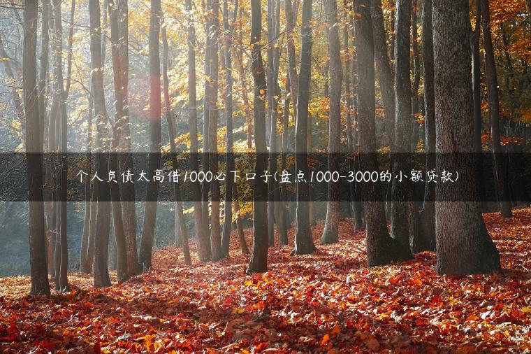 个人负债太高借1000必下口子(盘点1000-3000的小额贷款)