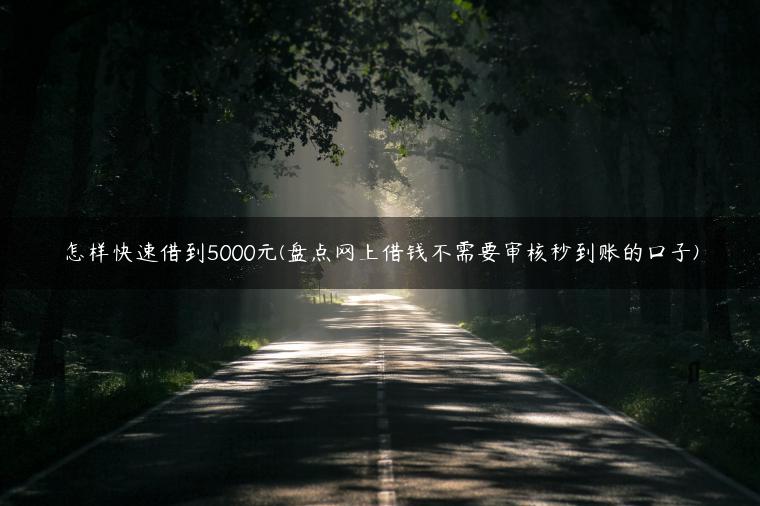 怎样快速借到5000元(盘点网上借钱不需要审核秒到账的口子)