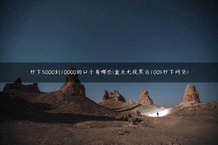 秒下5000到10000的口子有哪些(盘点无视黑白100%秒下网贷)