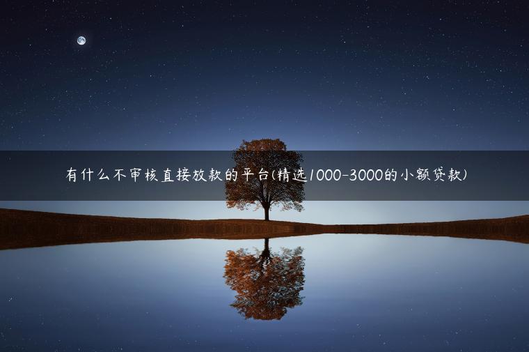 有什么不审核直接放款的平台(精选1000-3000的小额贷款)