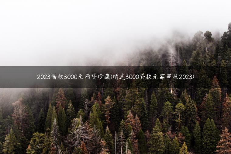 2023借款3000元网贷珍藏(精选3000贷款无需审核2023)