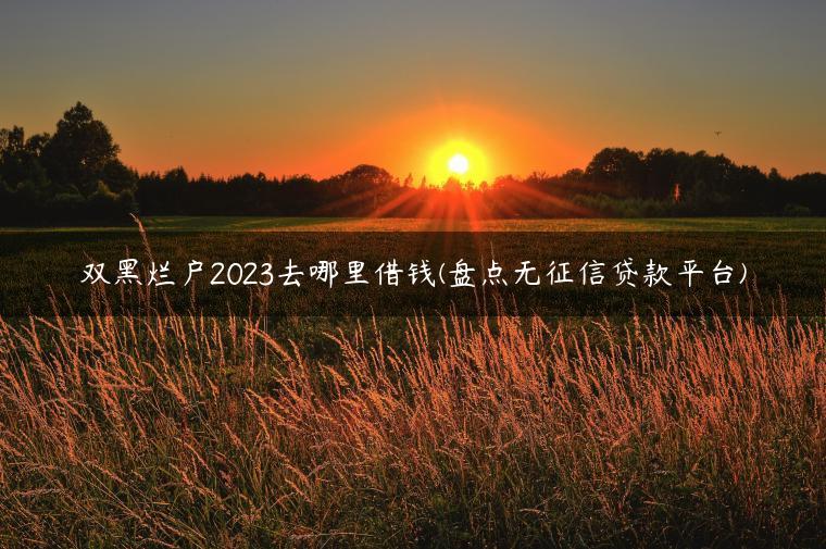 双黑烂户2023去哪里借钱(盘点无征信贷款平台)