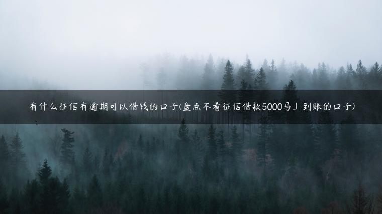 有什么征信有逾期可以借钱的口子(盘点不看征信借款5000马上到账的口子)