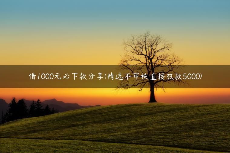 借1000元必下款分享(精选不审核直接放款5000)