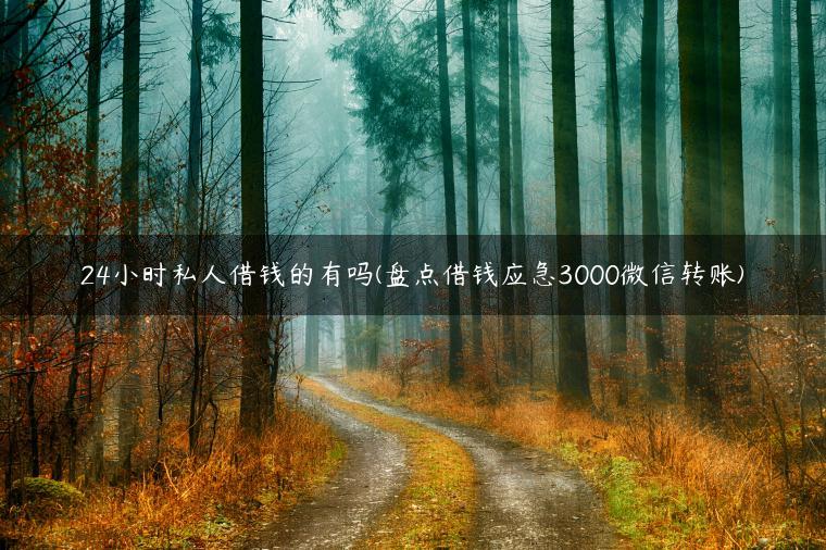 24小时私人借钱的有吗(盘点借钱应急3000微信转账)