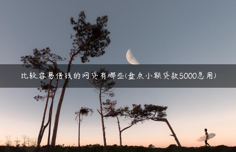 比较容易借钱的网贷有哪些(盘点小额贷款5000急用)