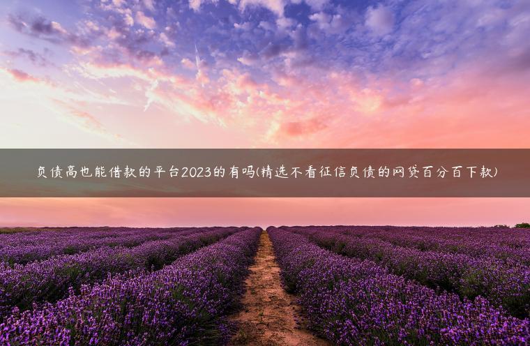 负债高也能借款的平台2023的有吗(精选不看征信负债的网贷百分百下款)