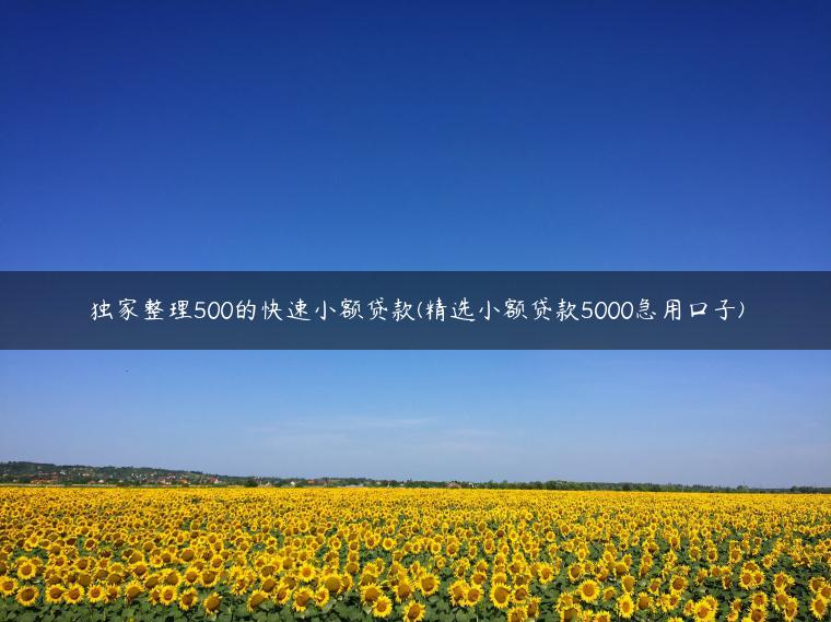 独家整理500的快速小额贷款(精选小额贷款5000急用口子)