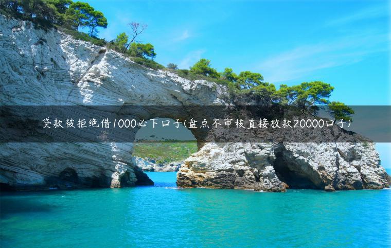 贷款被拒绝借1000必下口子(盘点不审核直接放款20000口子)