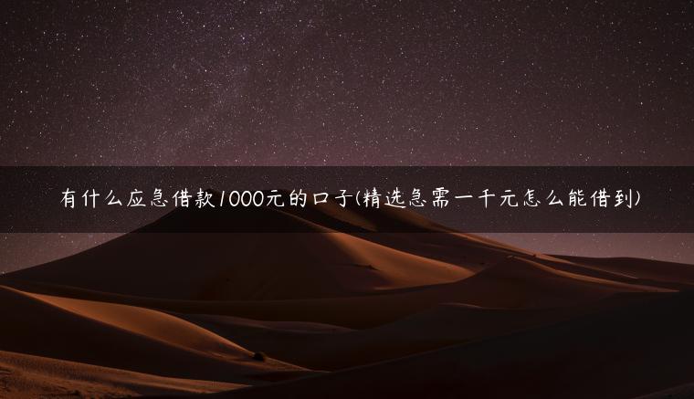 有什么应急借款1000元的口子(精选急需一千元怎么能借到)