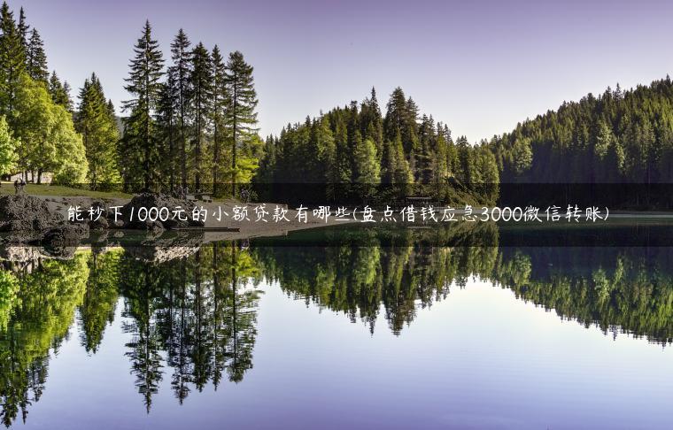 能秒下1000元的小额贷款有哪些(盘点借钱应急3000微信转账)