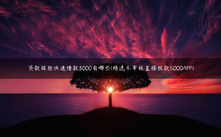 贷款被拒快速借款3000有哪些(精选不审核直接放款5000APP)