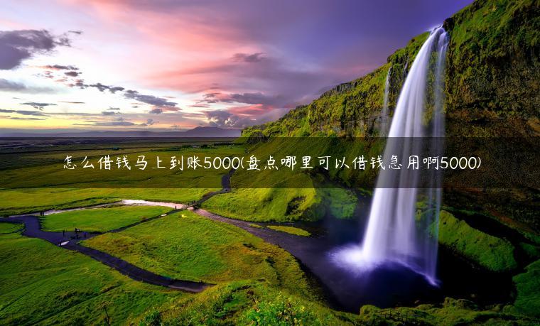 怎么借钱马上到账5000(盘点哪里可以借钱急用啊5000)