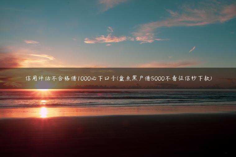 信用评估不合格借1000必下口子(盘点黑户借5000不看征信秒下款)