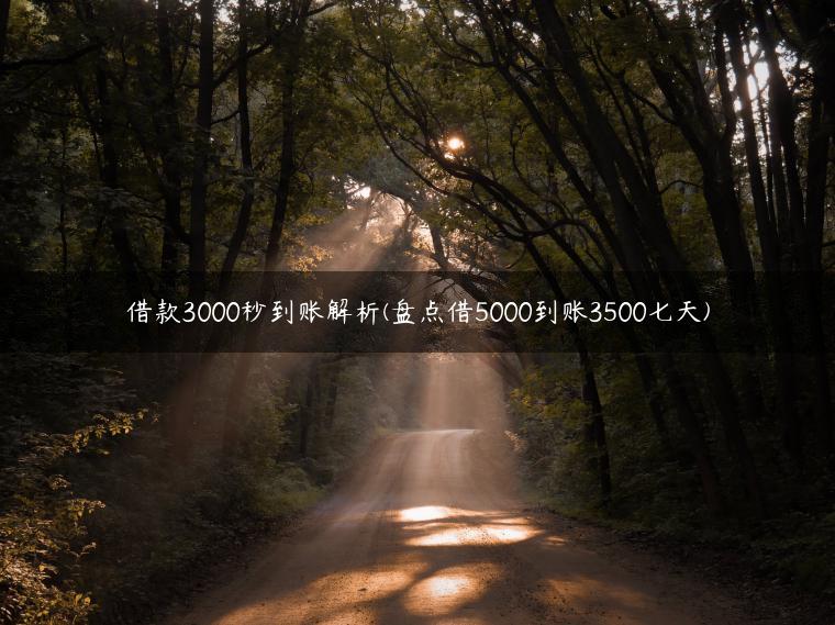 借款3000秒到账解析(盘点借5000到账3500七天)