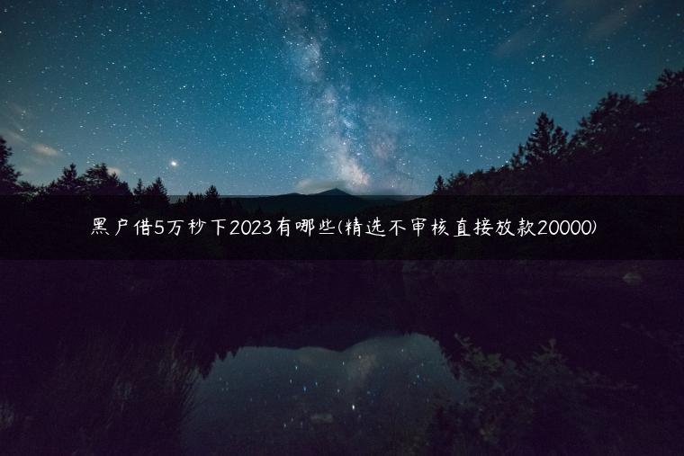 黑户借5万秒下2023有哪些(精选不审核直接放款20000)