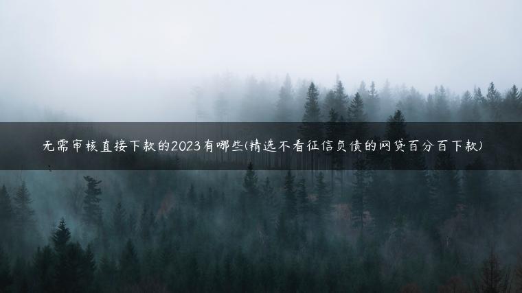 无需审核直接下款的2023有哪些(精选不看征信负债的网贷百分百下款)