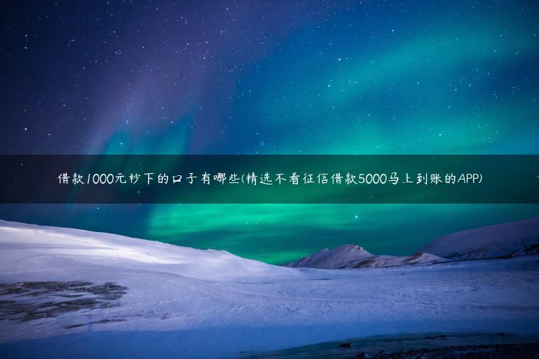 借款1000元秒下的口子有哪些(精选不看征信借款5000马上到账的APP)