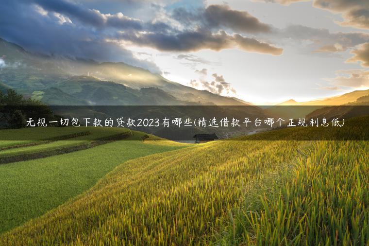 无视一切包下款的贷款2023有哪些(精选借款平台哪个正规利息低)