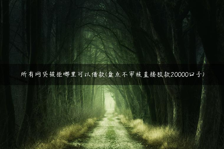 所有网贷被拒哪里可以借款(盘点不审核直接放款20000口子)